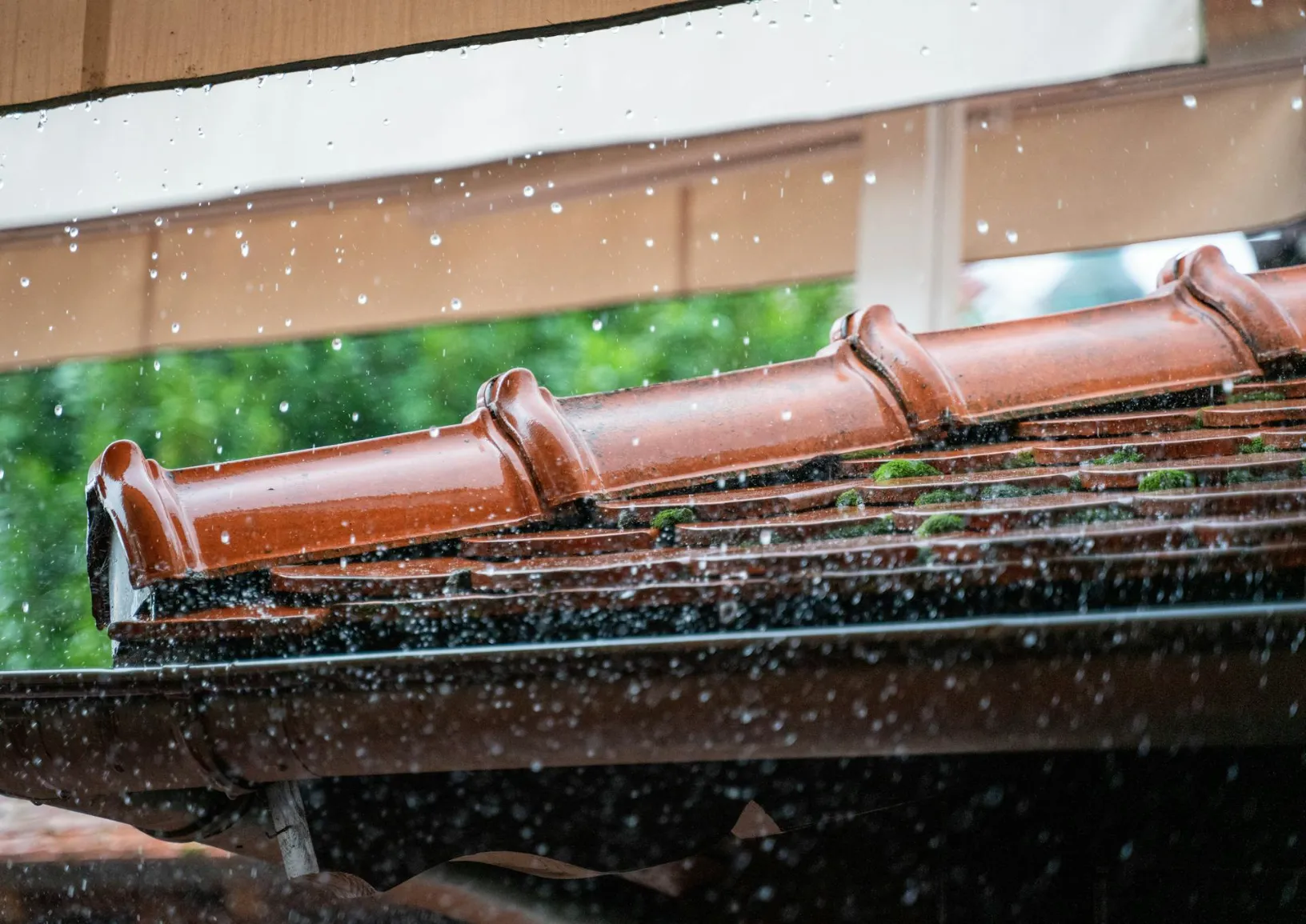 How to Build a DIY Rainwater Harvesting System