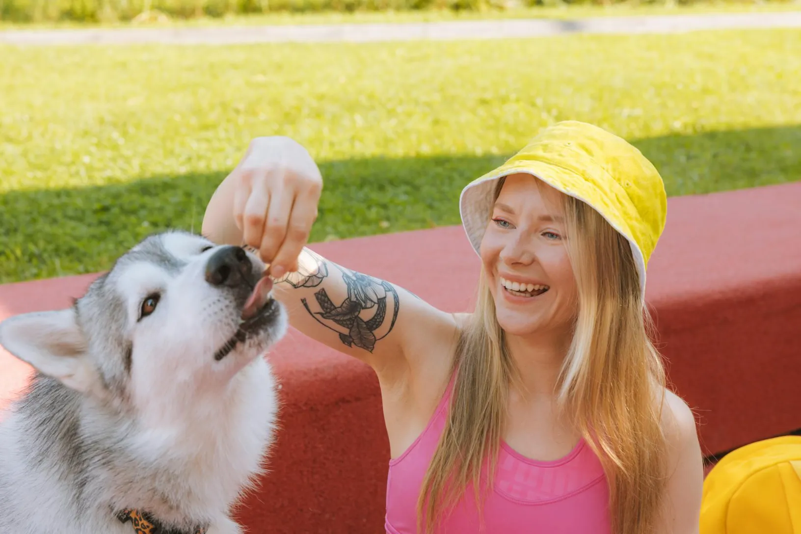 How to Use Positive Reinforcement Dog Training